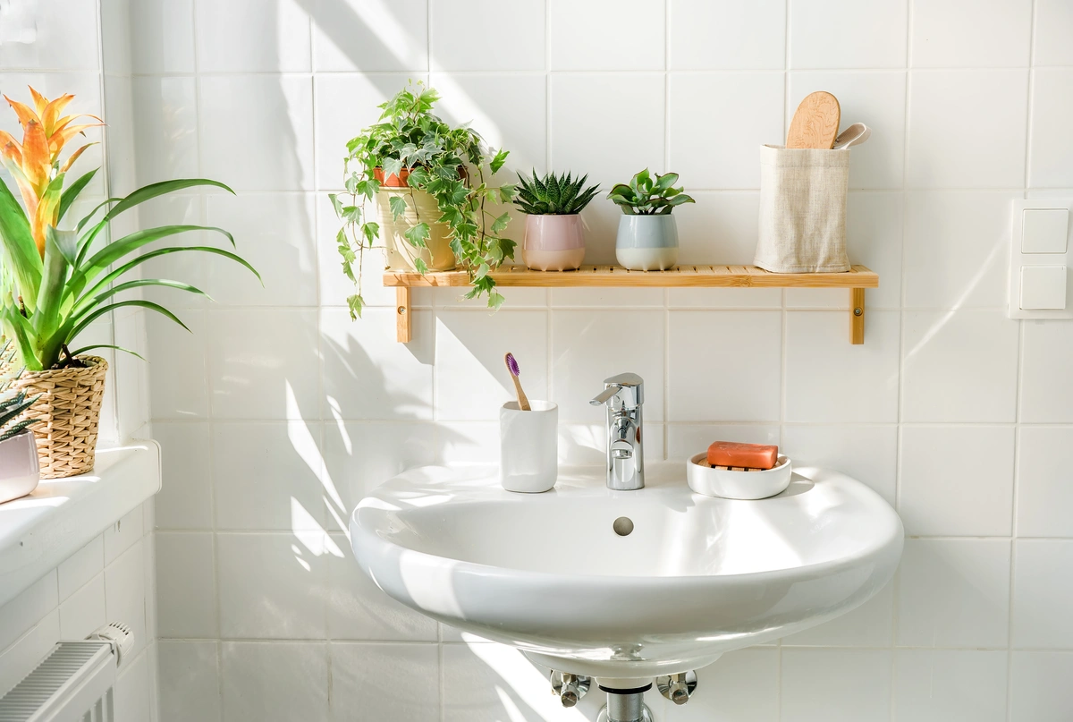 bathroom remodel in springtime with plants